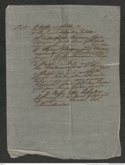 Nachlass Franz Steindachner, Beilage (zu Inv.Nr. 449.01) von Johann Schild an Franz Steindachner, Inv.Nr. 449.02, Seite 2